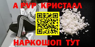индика Камышлов