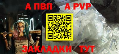 индика Камышлов