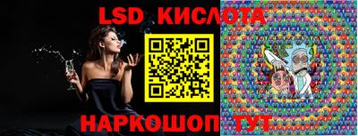 индика Камышлов