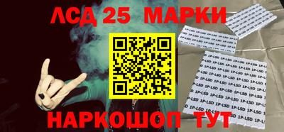 индика Камышлов