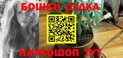 индика Камышлов