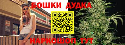 индика Камышлов