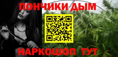 индика Камышлов