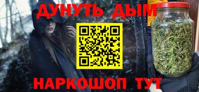 индика Камышлов