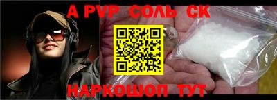 индика Камышлов