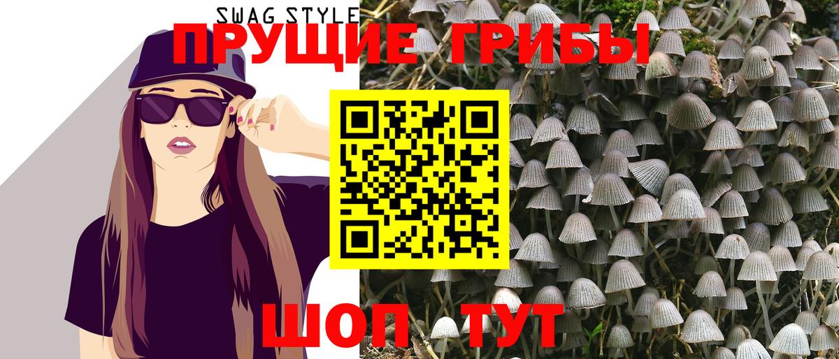 Галлюциногенные грибы Cubensis  Псилоцибиновые грибы Cubensis  Вход с VPN  Кушва 